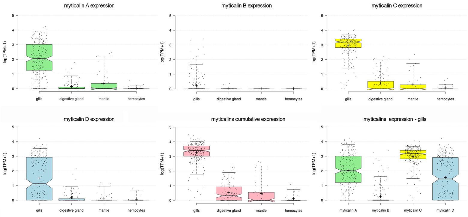 Myticalins expression multipanel